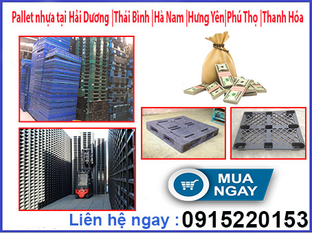 Pallet nhựa tại Hải Dương - Thái Bình - Hà Nam - Hưng Yên - Phú Thọ - Thanh Hóa