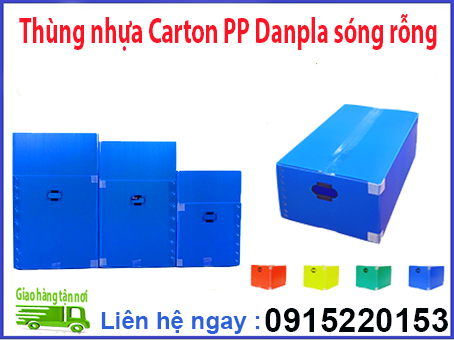 thung-nhua-carton-pp-danpla-song-rong